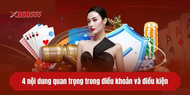 4 nội dung quan trọng trong điều khoản và điều kiện