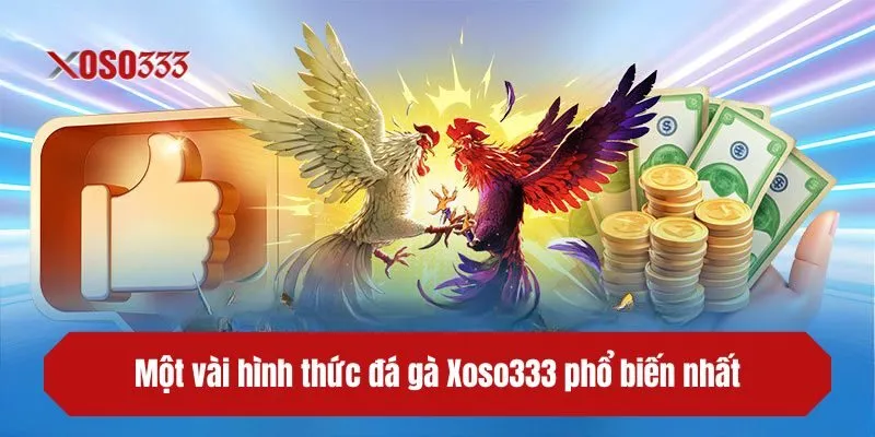 Một vài hình thức đá gà XOSO333 phổ biến nhất