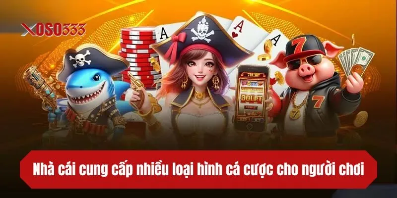 Nhà cái cung cấp nhiều loại hình cá cược cho người chơi